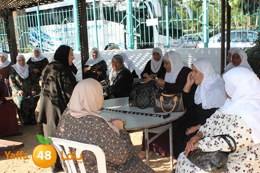 ramla mosaneeena (25).jpg